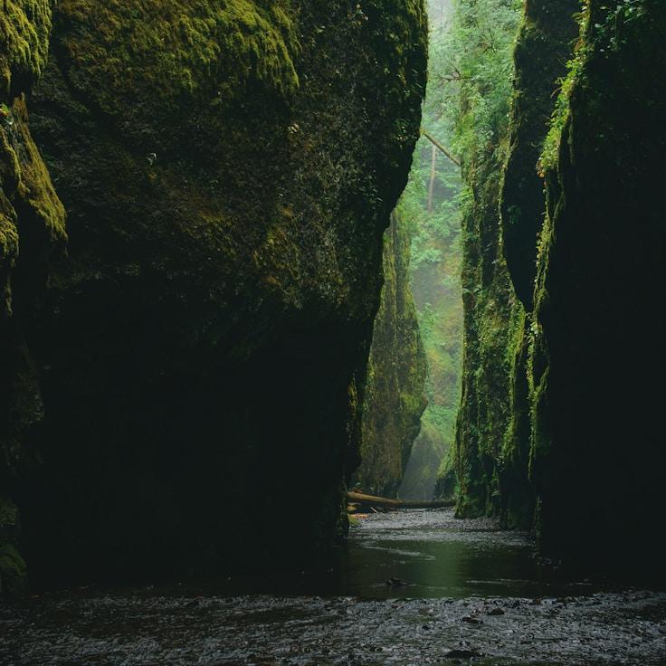 Nature travel hero image